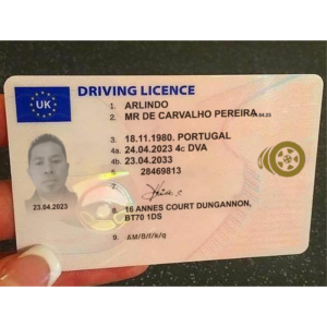 IRELAND DRIVING LICENCE