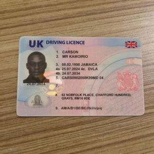 UK Driving License